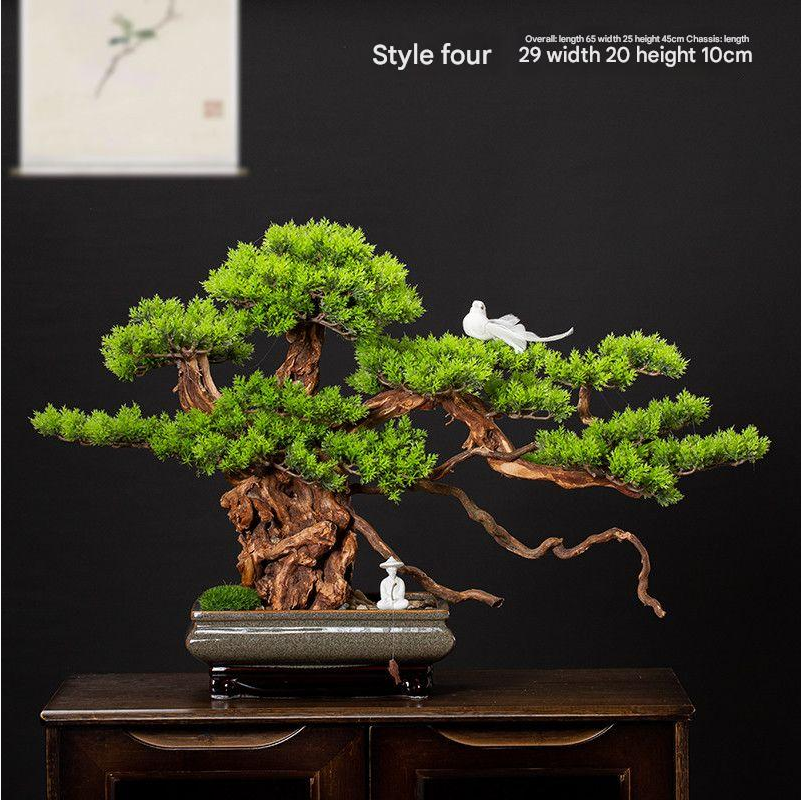 The welcome pine seen from above, its pads opening out in open tiers