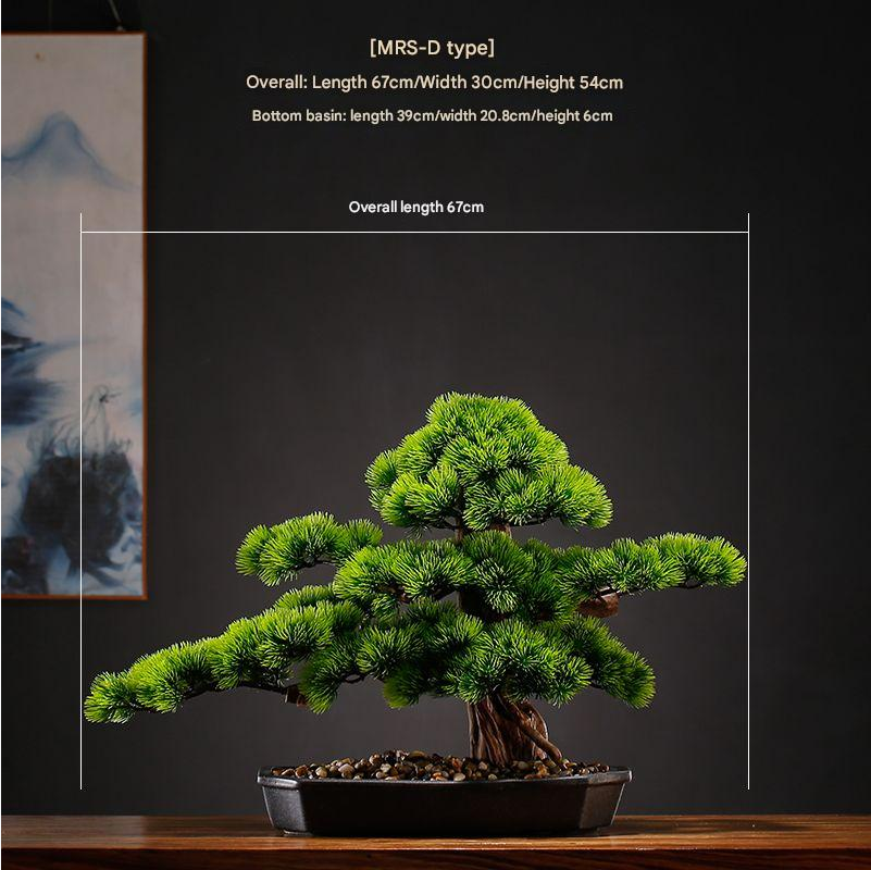 The bonsai used as indoor decoration on a sideboard beside a table lamp