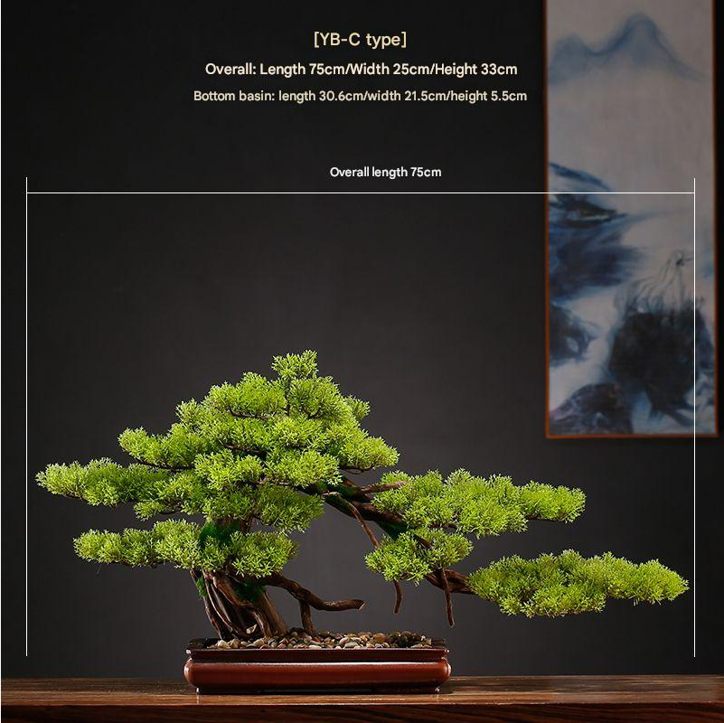 The bonsai displayed on a windowsill in bright indoor daylight at home