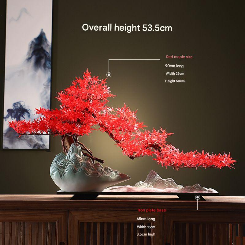 The pine bonsai styled on a coffee table beside a small ceramic cup