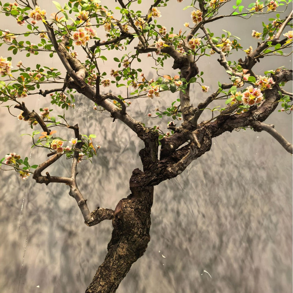 The blossom tree set under a stairwell as an indoor landscaping feature