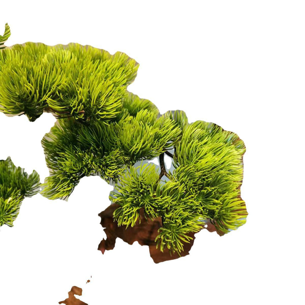 The 3ft artificial pine used as a staging plant in a showroom display