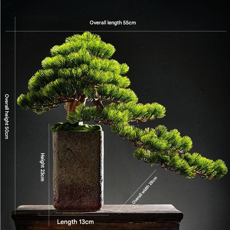 Pot and base of the pine bonsai, finished with moss and small pebbles