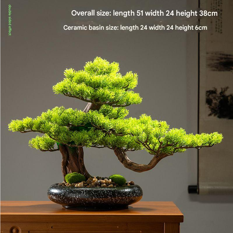 The moss and stone finish across the potting surface of the cypress