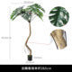 The monstera floor plant styled beside a sofa in an office breakout lounge