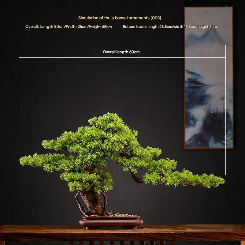 Foliage of the bonsai seen from underneath the lowest branch pad
