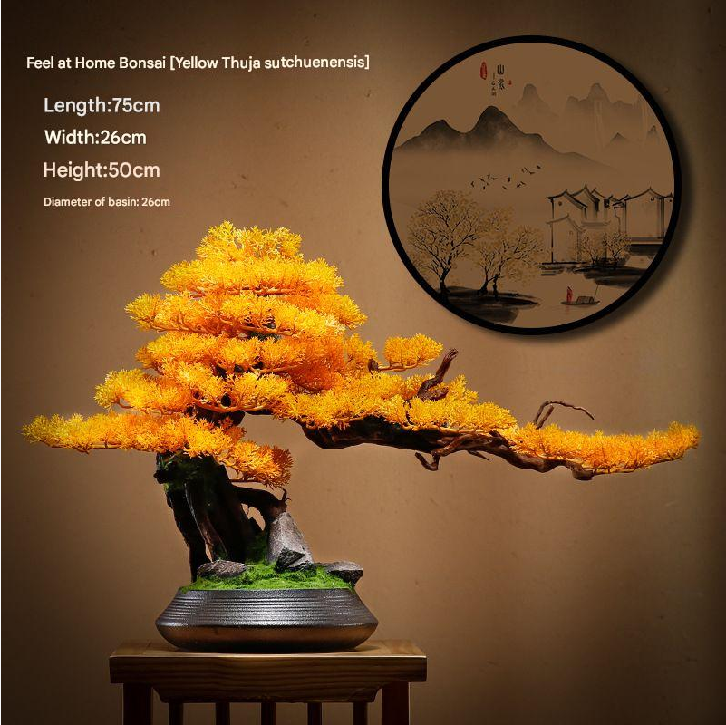 Needle tips of the bonsai foliage, fine and slightly splayed at the ends
