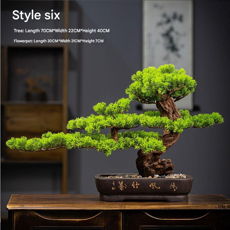 The bonsai seen from directly above, its pads opening out in staggered tiers