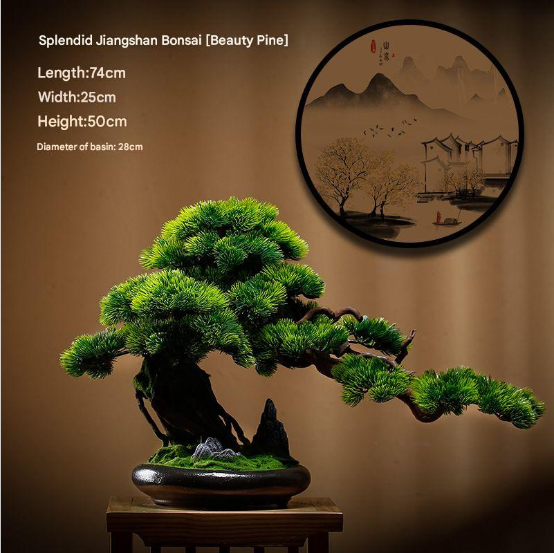 The sculpted trunk of the 1.2m bonsai curving up from its shallow pot