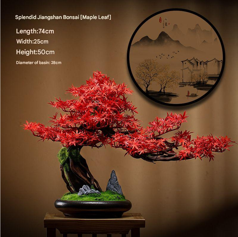 The bonsai seen from above, its trained pads opening out in open tiers
