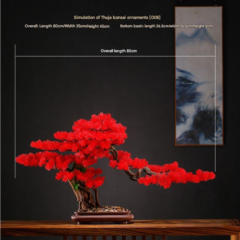 The bonsai photographed against a plain studio backdrop from the front