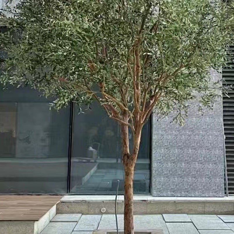 The real wood trunk of the olive tree, bark grain and knots still visible