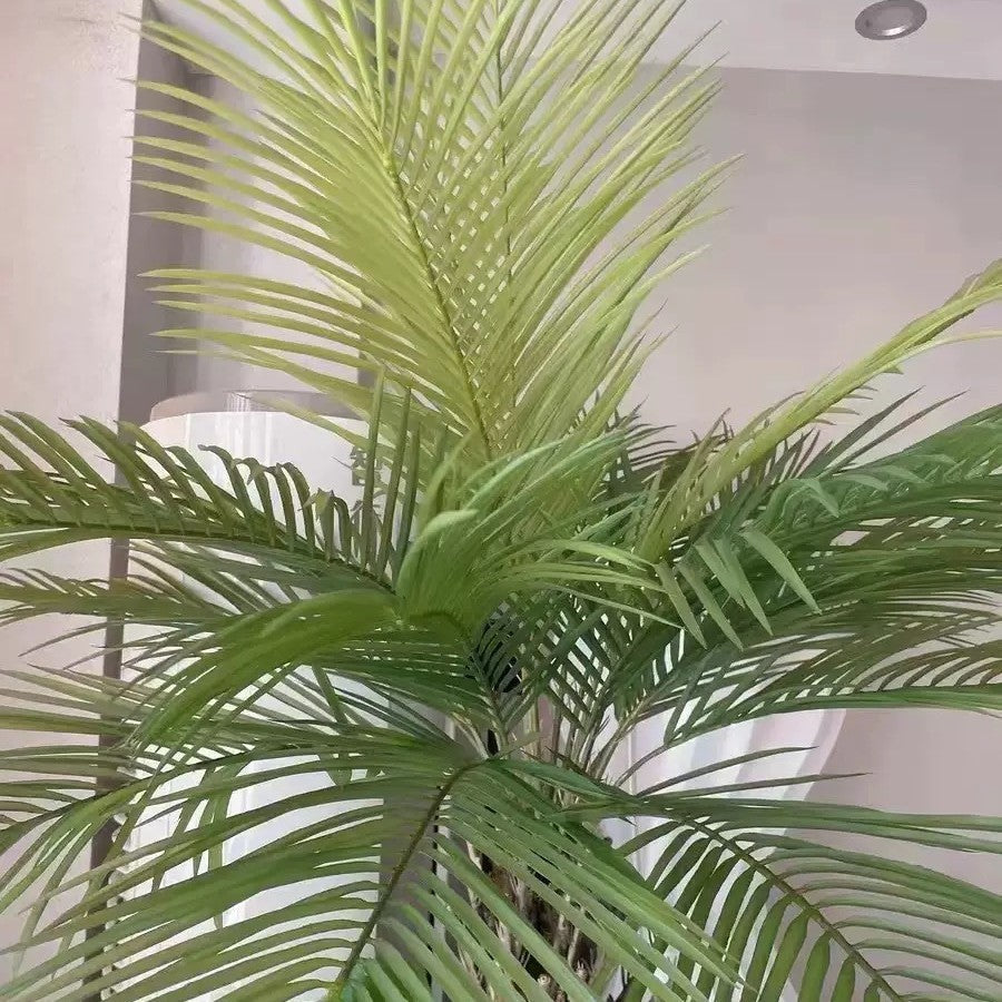 The areca palm used as a statement plant in a bright hotel lobby corner