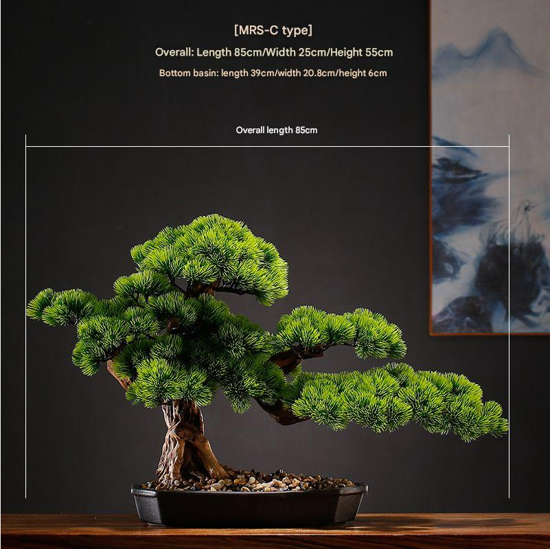 The sculpted bonsai trunk twisting up from the base to the lowest branch