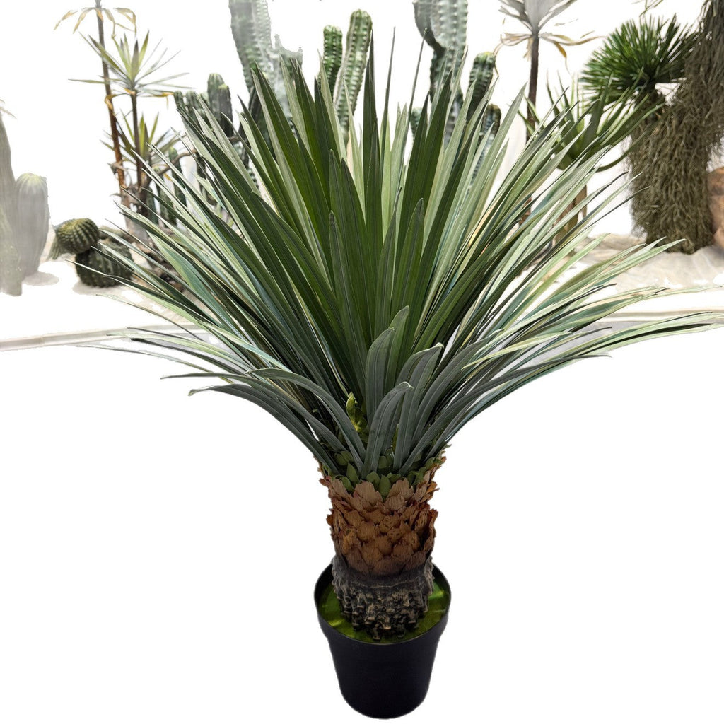 The floor-standing pineapple plant in a hotel lobby beside a tall window