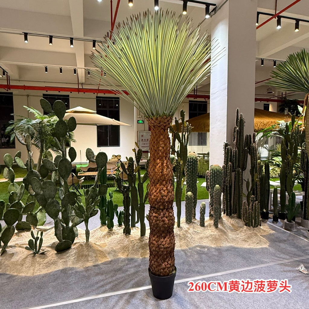 The thick central stem of the 8.5ft pineapple head plant rising from its base