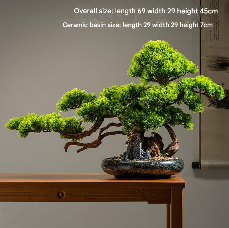 The 6ft cliff cypress used as an accent piece beside an entrance doorway