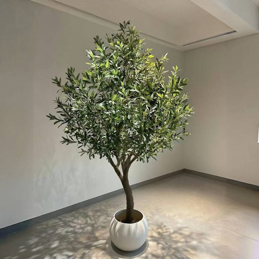 The potted olive tree used to dress a model home interior for staging