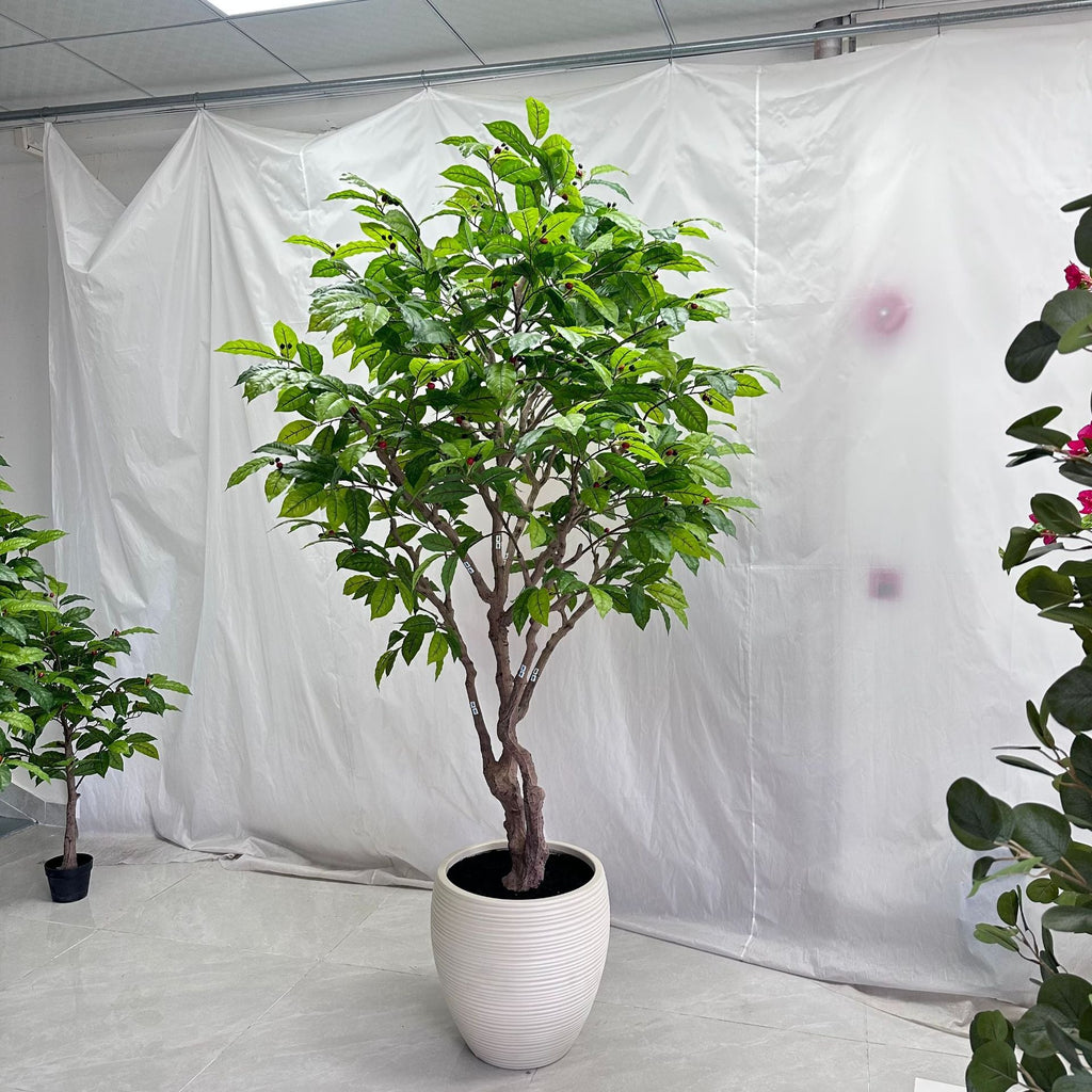 Faux coffee tree 8ft tall in a floor planter, glossy leaves along arching branches