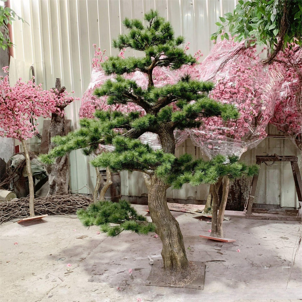 The sculpted trunk of the pine bonsai curving up from the base to the first branch