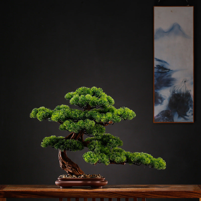 The bonsai on an office desk as a piece of decoration