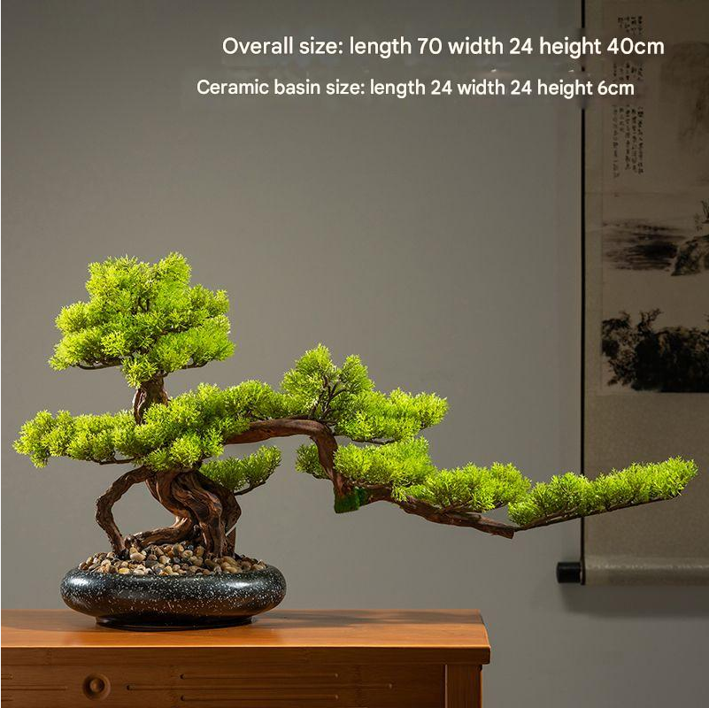 Foliage density across the middle branch pad of the cliff cypress