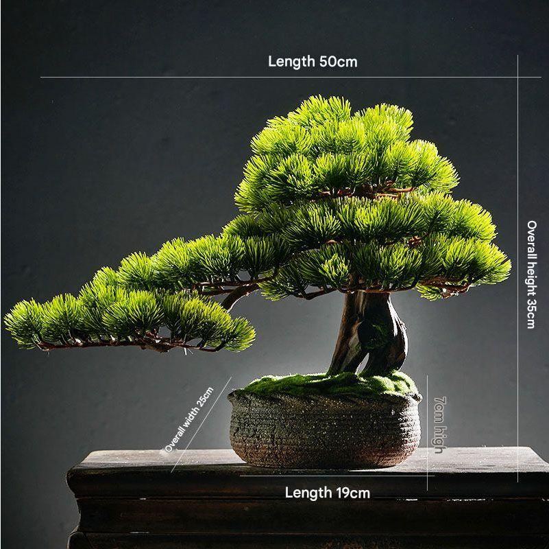 Close-up of the pine needles set thickly across a single flat branch pad