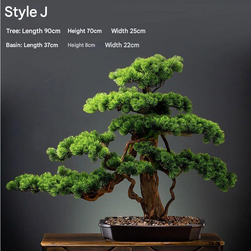 The 4ft bonsai standing beside an armchair in a bright living room corner