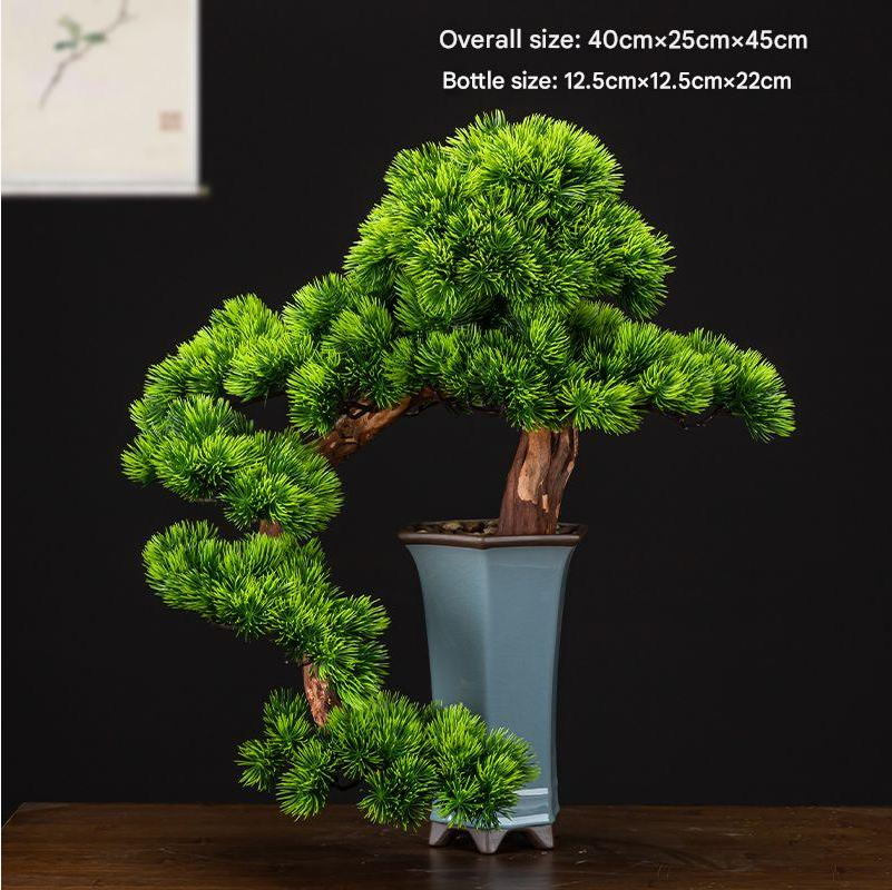 The topmost pad crowning the pine bonsai, photographed close up
