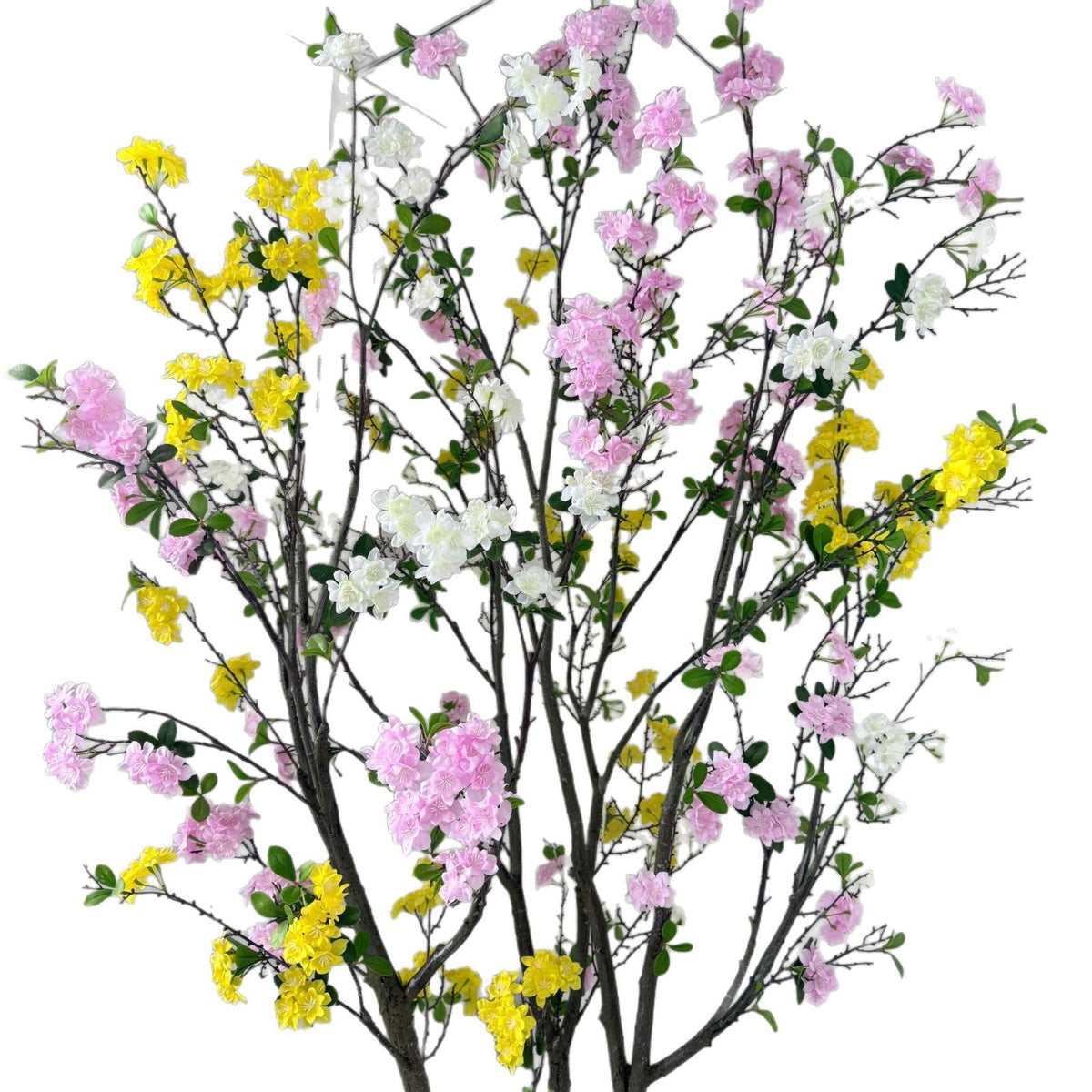 The begonia tree in a hotel lobby, flowers reaching above a seating group