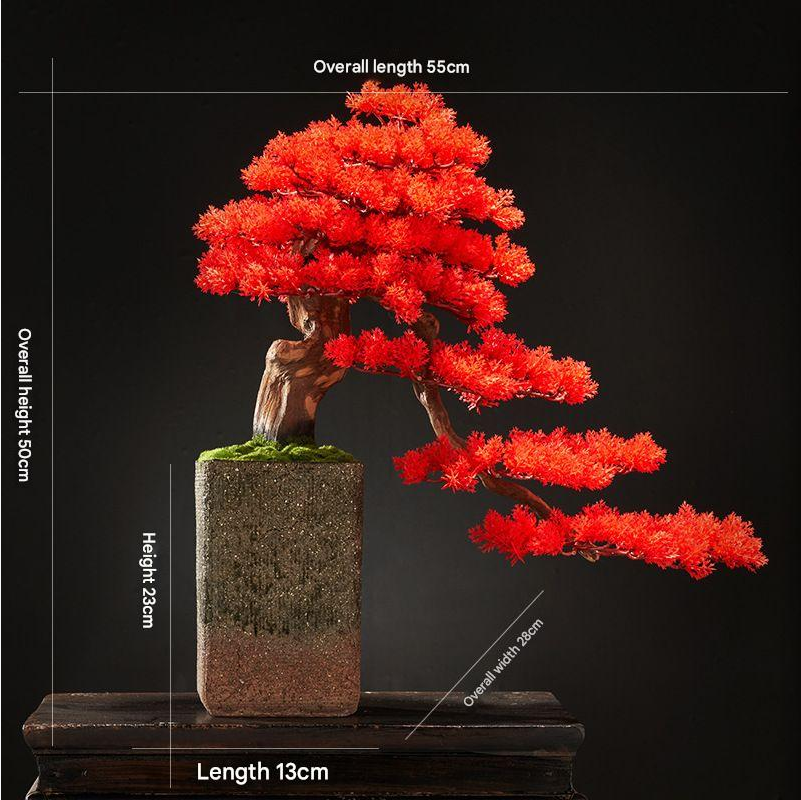 The bonsai in profile with its branches reaching out past the pot rim