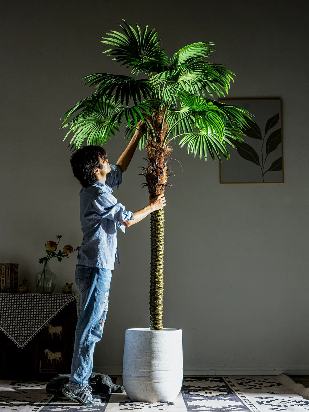 The 6.6ft fan palm used as a floor plant beside a sofa in a bright interior