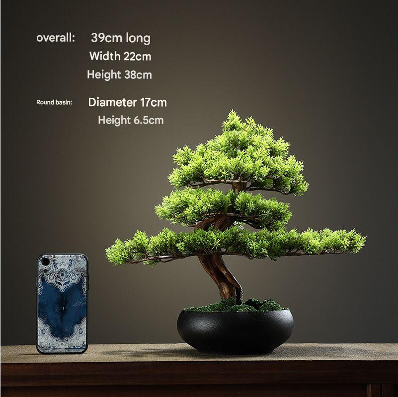 The shaped silhouette of the 28in welcome pine seen against a plain wall