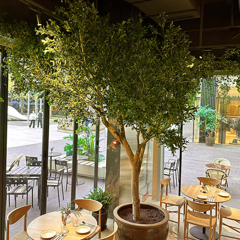 The same olive tree used on a patio standing beside outdoor patio furniture