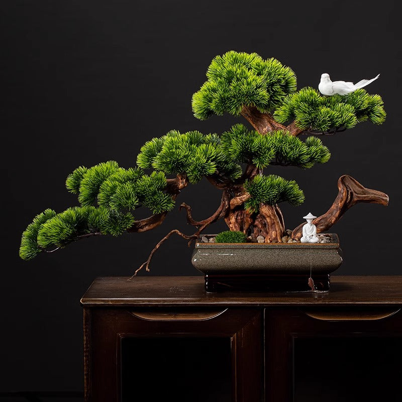 The 3ft pine in a tea room as a small piece of Chinese-style decor