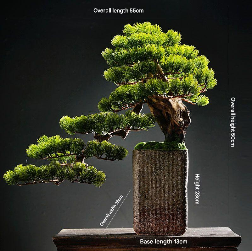The bonsai used as a green accent on a hallway console table at home