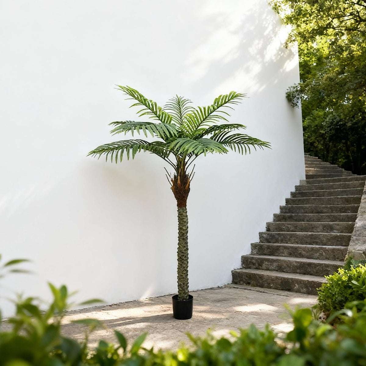 The potted date palm standing in a hotel lobby beside a pale marble column
