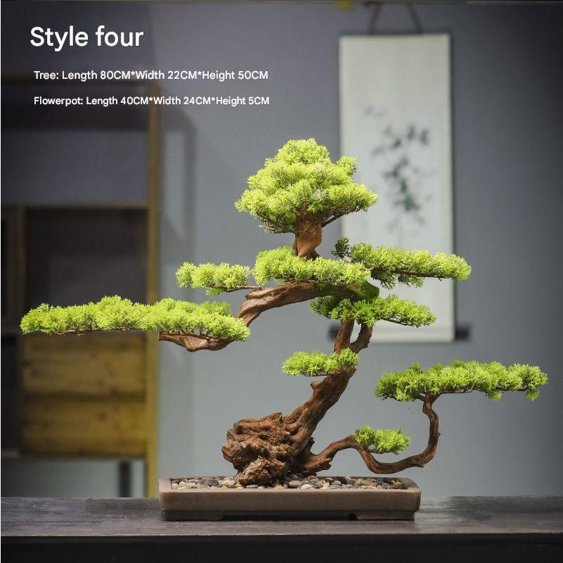 The 3ft pine bonsai used as a decoration on a low wooden console table indoors