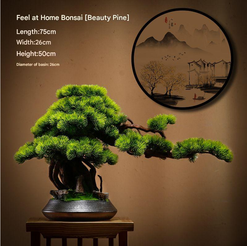 Close-up of a branch pad meeting the sculpted trunk of the 1.2m bonsai
