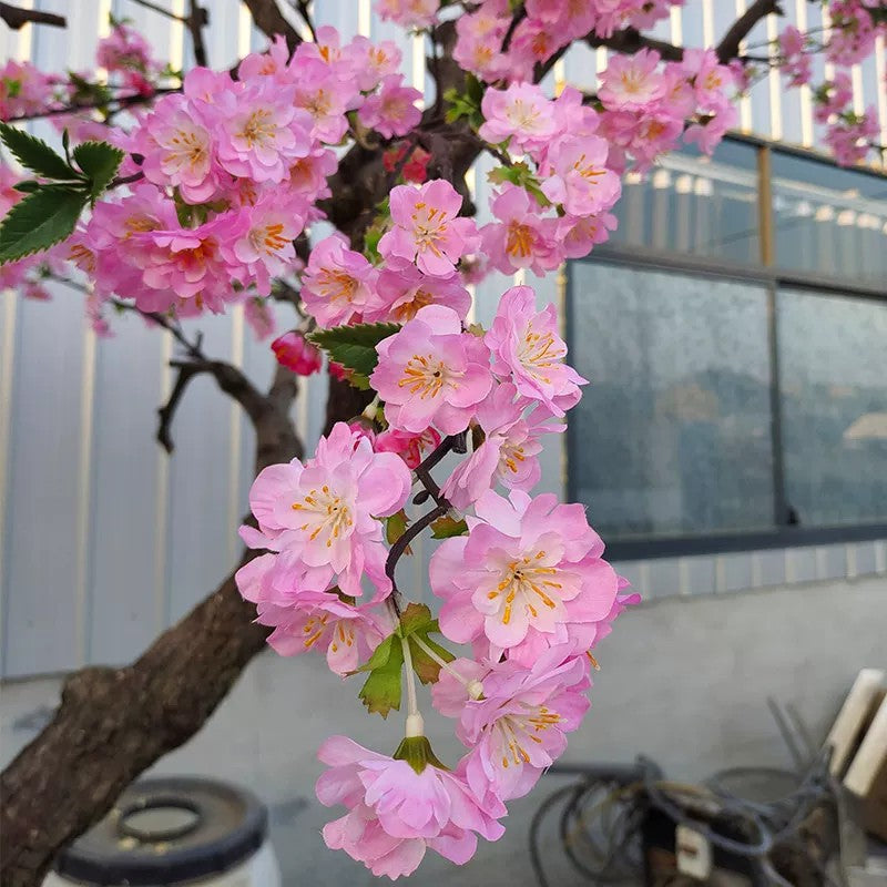 Close-up of the cherry blossoms showing the five fabric petals and fine stamens