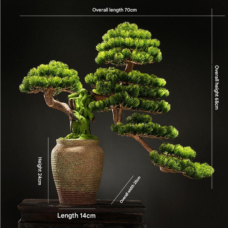 The lowest pad of the bonsai reaching out over the edge of the pot