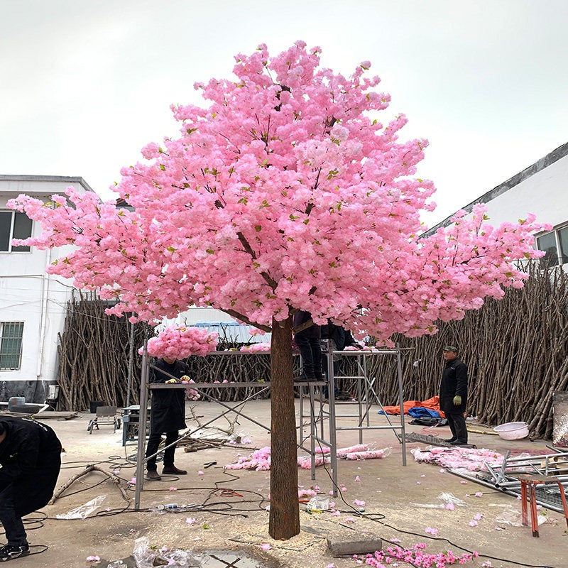 The cherry blossom tree used as a backdrop behind a wedding ceremony setting