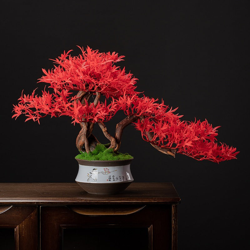 The bonsai styled on a coffee table beside a small ceramic bowl and books