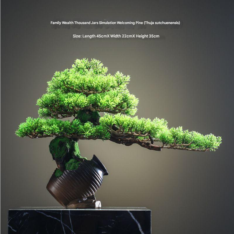 The curved trunk of the 28in welcome pine rising up out of its display pot