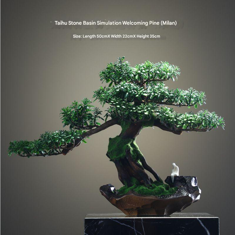 The welcome pine placed by an entrance door as a lucky greeting ornament