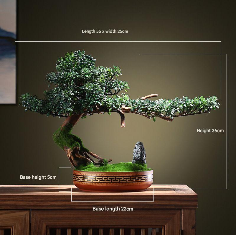 The sculpted bonsai trunk rising from its pot up into the trained branches