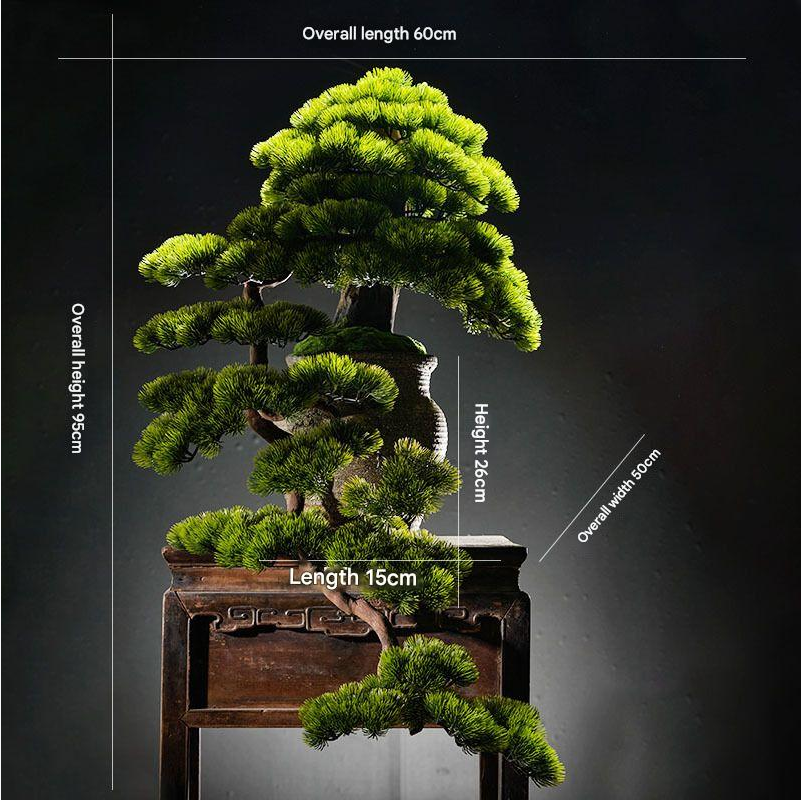 The crowning pad at the top of the pine bonsai, seen from close up