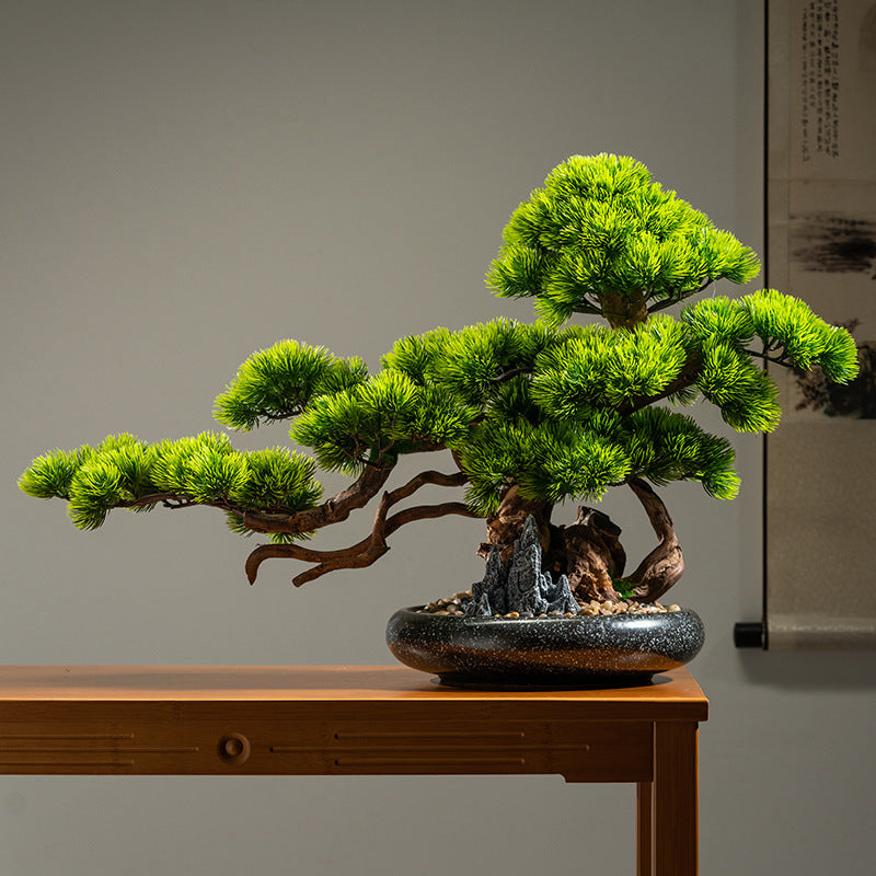 The cypress seen from directly overhead with its pads spread wide