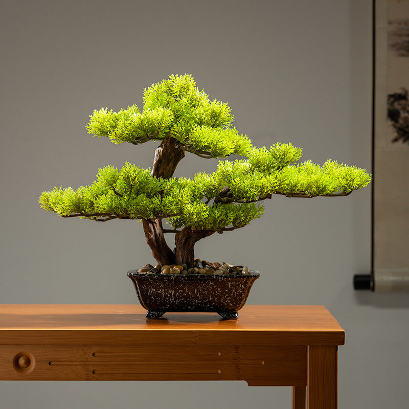 Moss and small stones dressed across the top surface of the pot