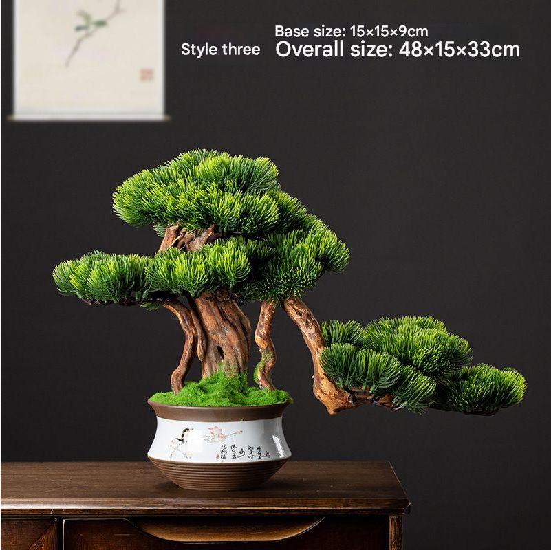 The sculpted trunk of the pine bonsai rising from its shallow ceramic pot